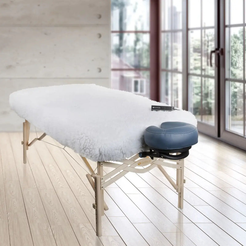 DLX  Digital Massage Table Warmer