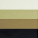 Touch America Marimba Professional Spa Treatment Convertable Chair-Table